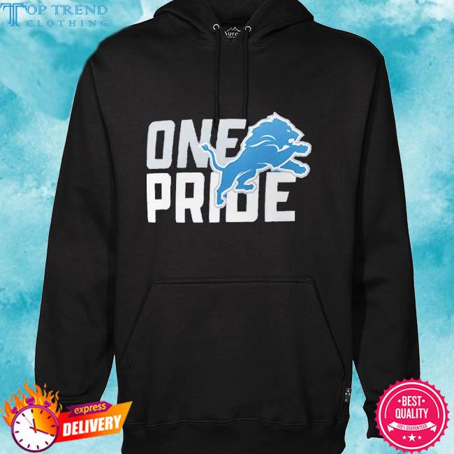 Detroit Lions Local Essential Logo Shirt hoodie